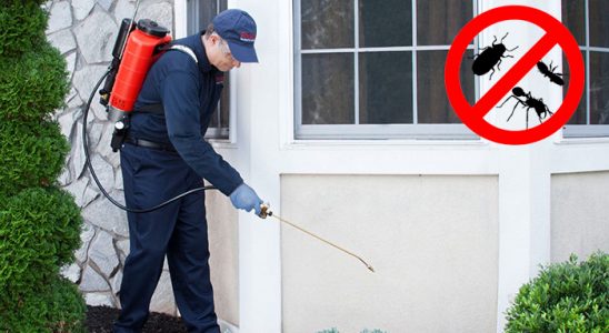 Kavaklıdere Akrep İlaçlama böcek ilaçlama ve haşere kontrolü — ilaclama-tr.com